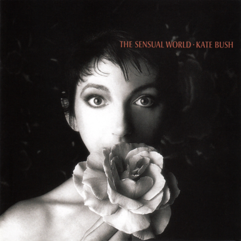 Capa de This Woman's Work